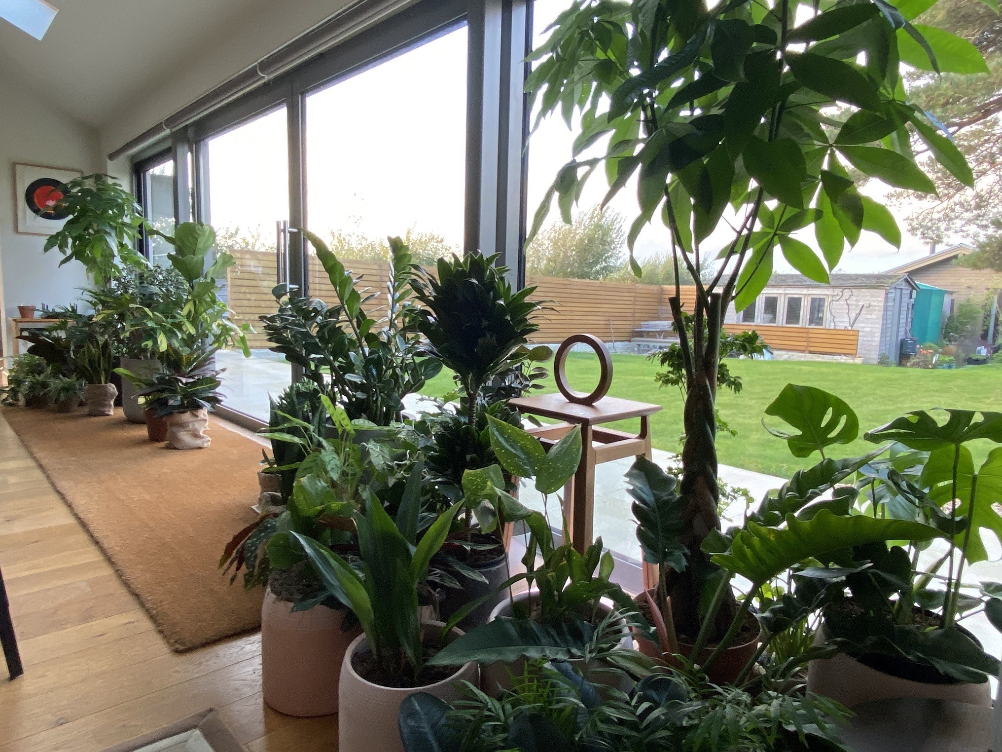 Winterproofing | Preparing Your Plants for Winter