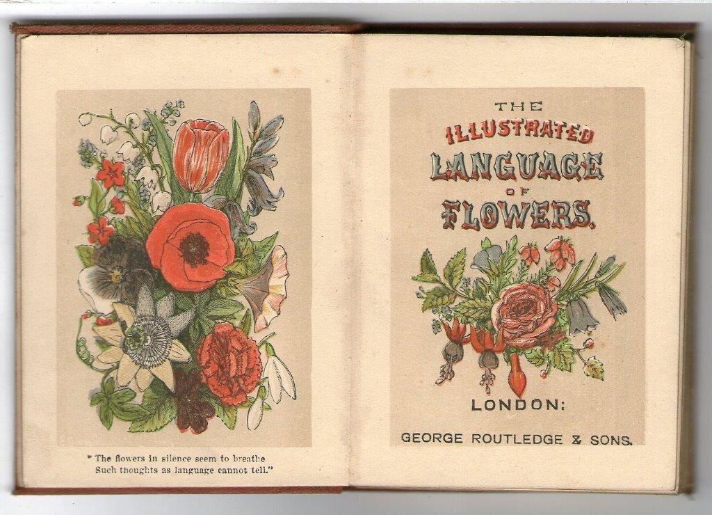 The language of flowers