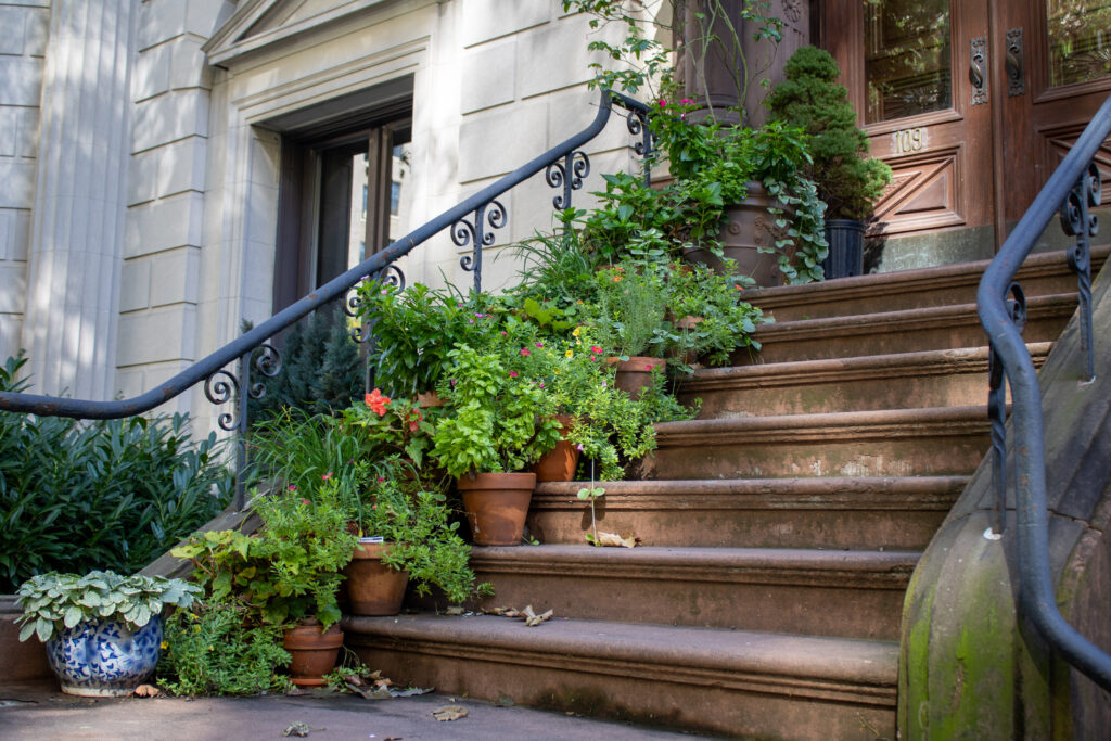 Transitioning Houseplants Outdoors