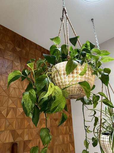 Photo from customer review